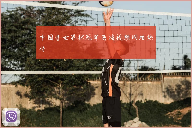 中国夺世界杯冠军恶搞视频网络热传