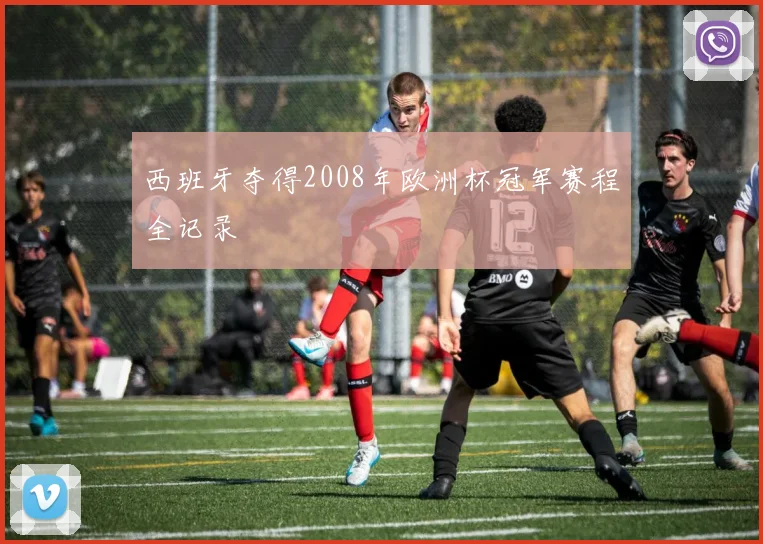 西班牙夺得2008年欧洲杯冠军赛程全记录